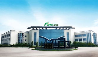 當《千與千尋》的哲思遇上生物技術 看宮崎駿電影長大的孩子如何塑造未來科學倫理